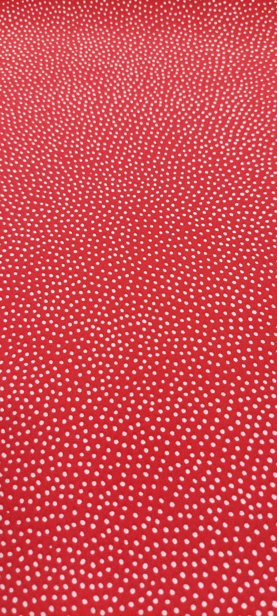 coxivo rojo punto blanco pequeño*