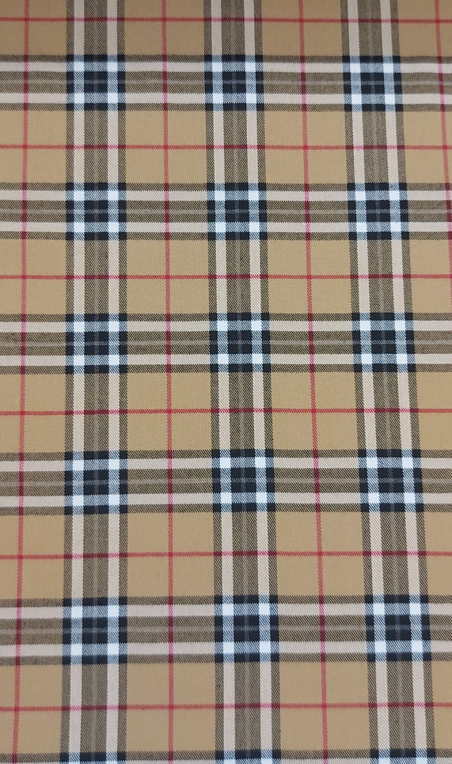 Cuadros Burberry Spandex