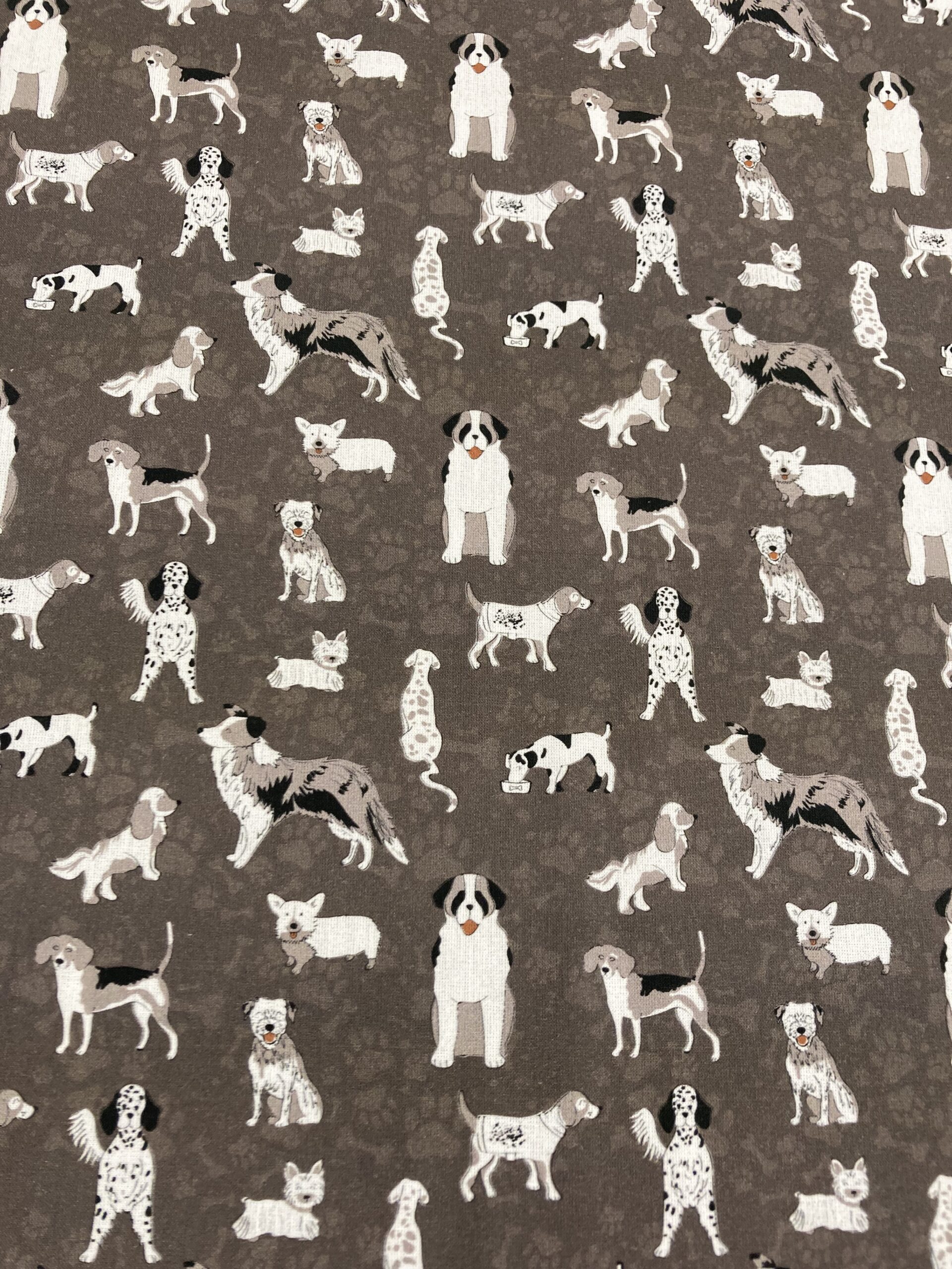 Fido perritos blancos f.topo