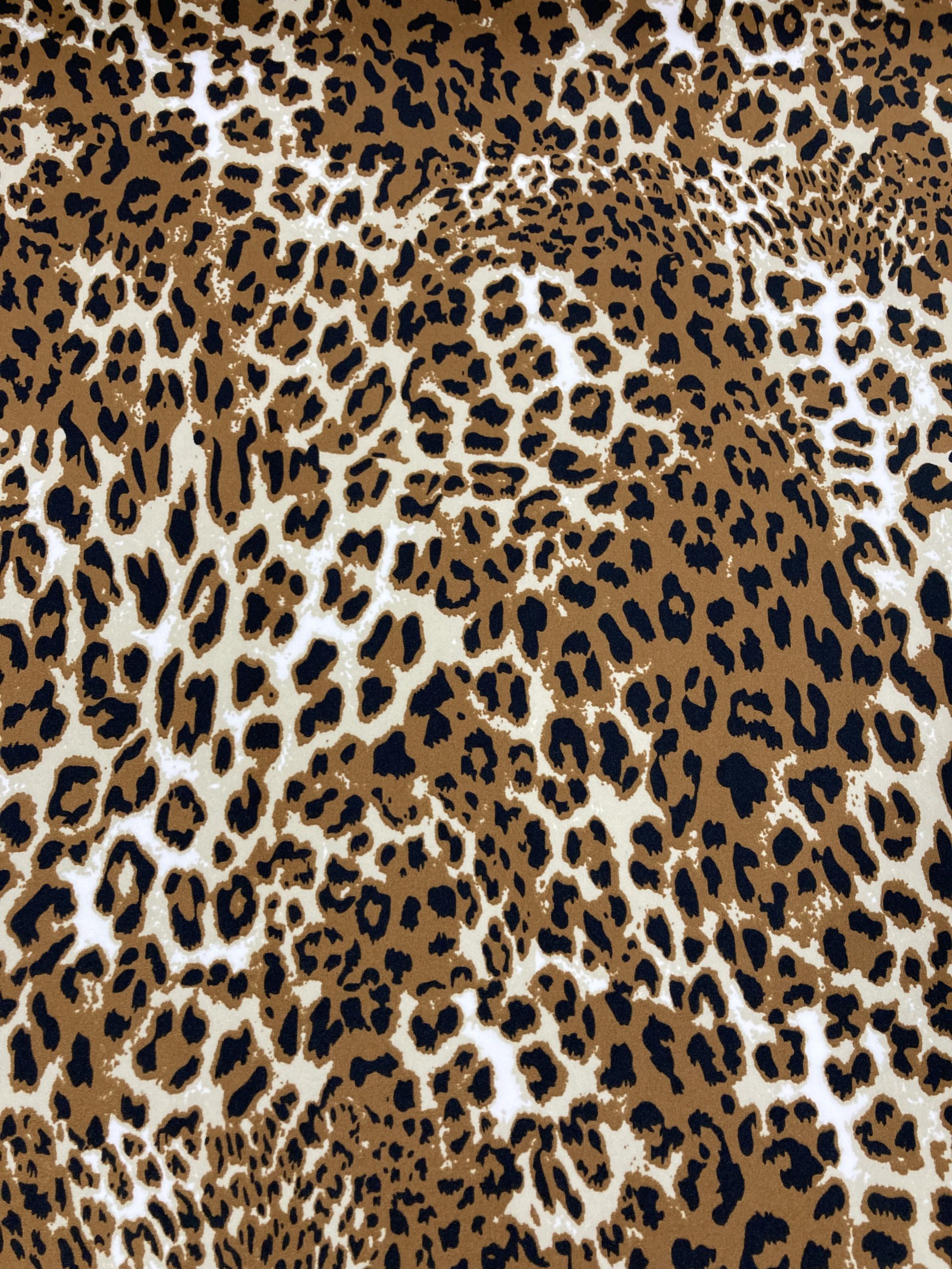 Punto licra Print 12