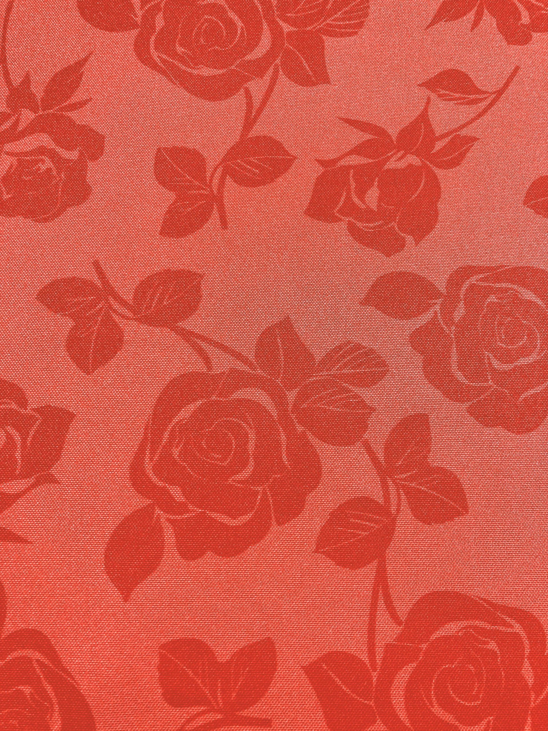 Strech Jaén Flor rojo-coral - Imagen 3