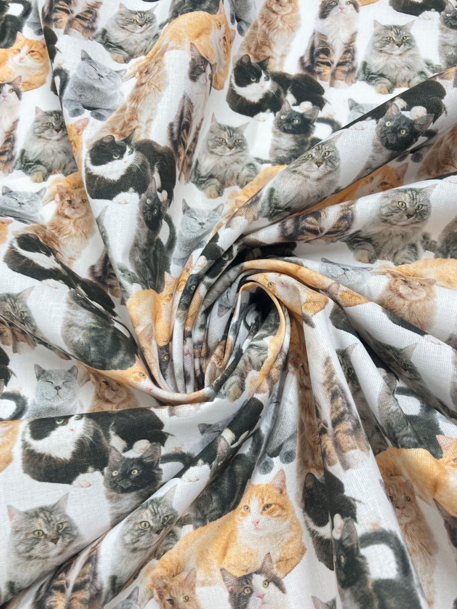 Algodón Cats - Imagen 2