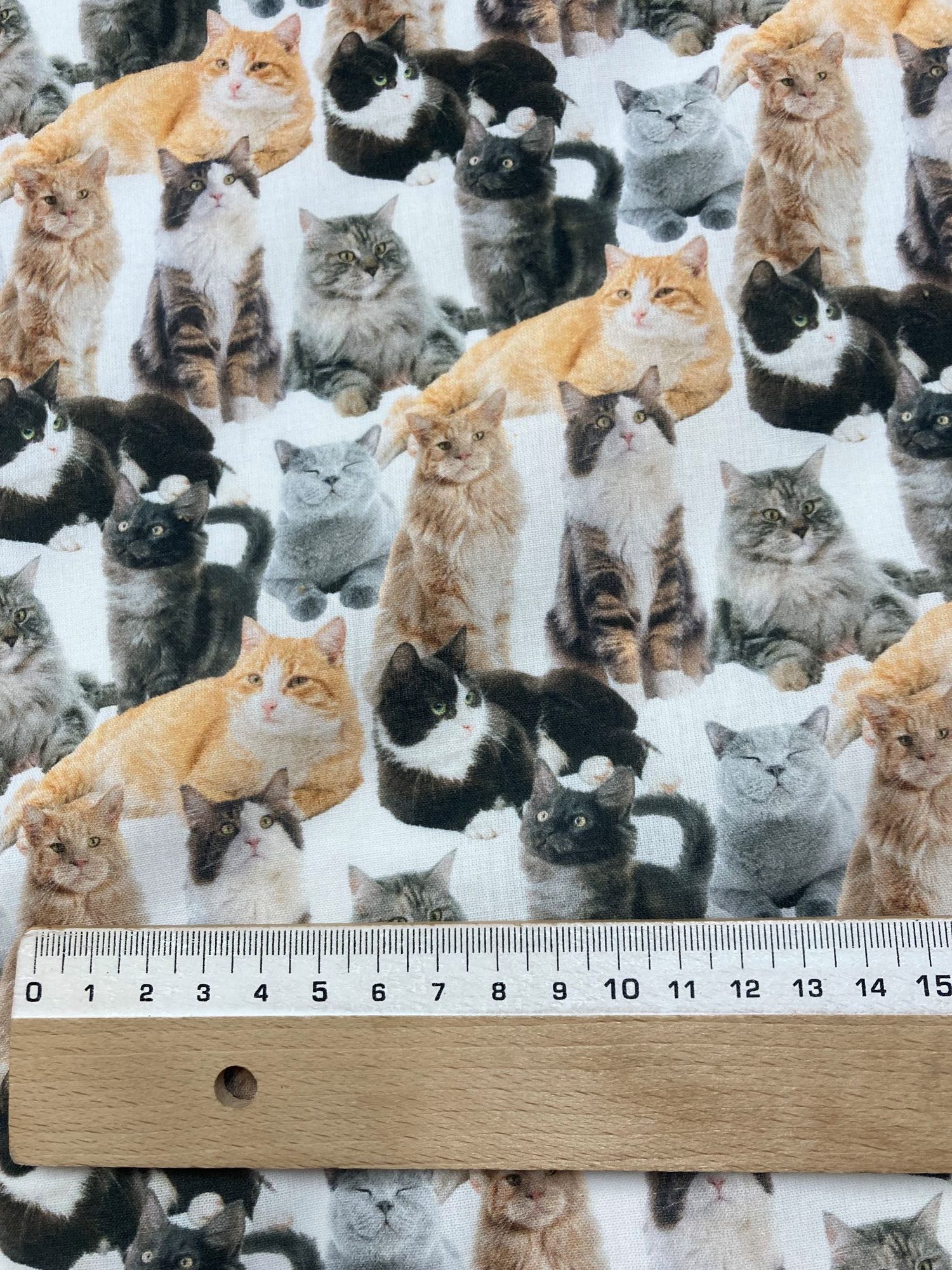 Algodón Cats - Imagen 3