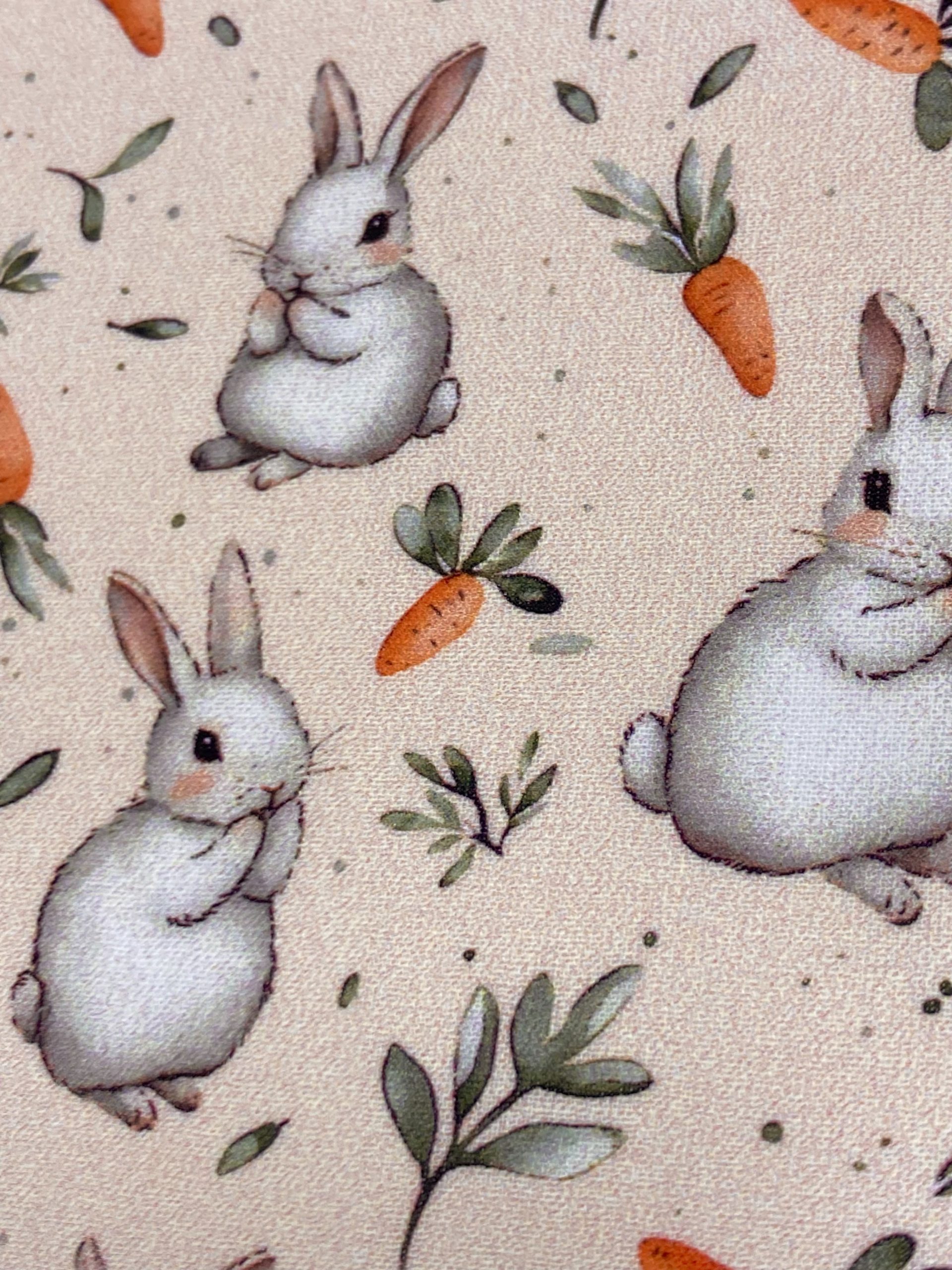 Algodón conejos zanahoria