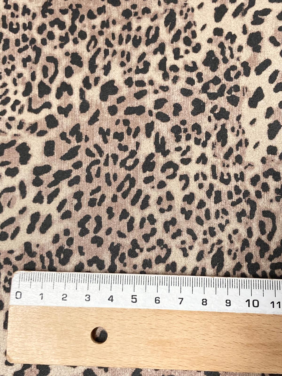 Punto antelina leopardo .